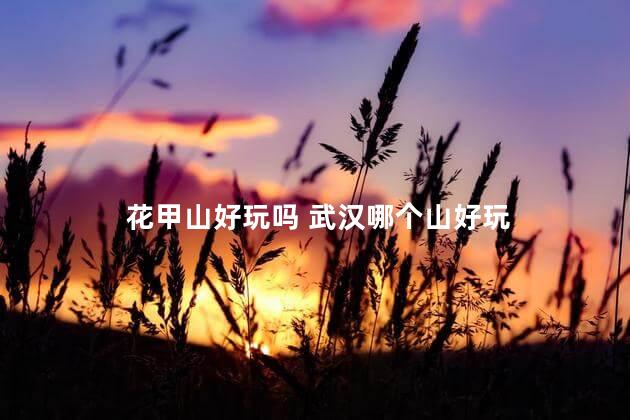 花甲山好玩吗 武汉哪个山好玩